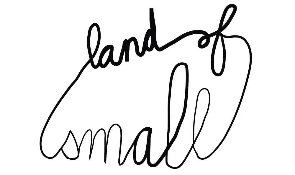 landofsmall