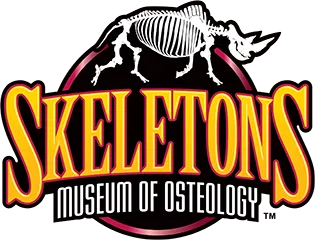 Skeleton Museum