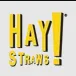 HAY Straws