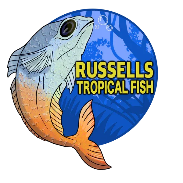 Russells Tropical Fish and Pet