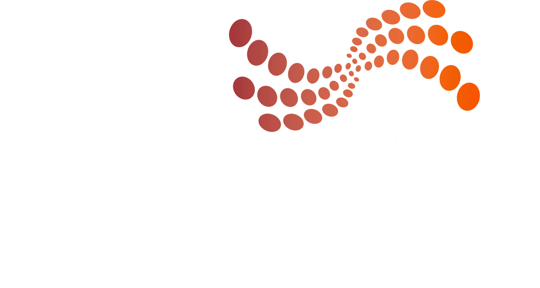 AB Dolly