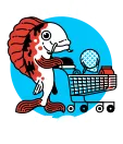 Everything Koi