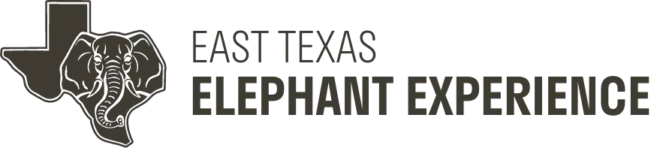 East Texas Elephant Experience