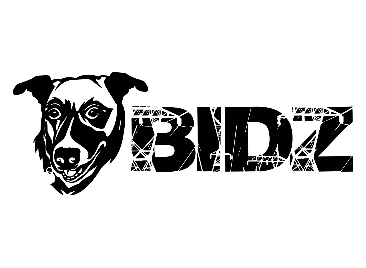 bidzvac.com