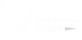 Black Mountain Bison