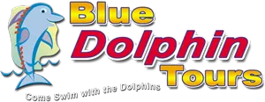 bluedolphintour.com