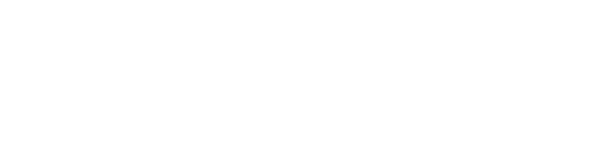 thebrooklynpizza.com