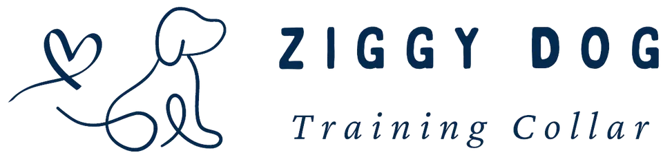 Ziggy Dog Training Collar