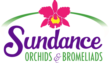 Sundance Orchids