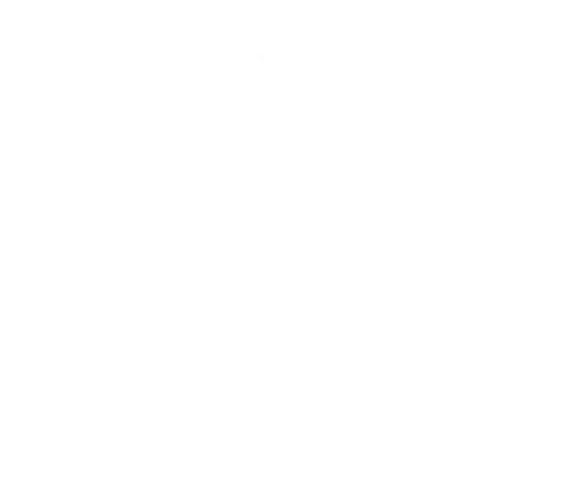 The Rochford Project