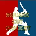 Square Cut Cricket