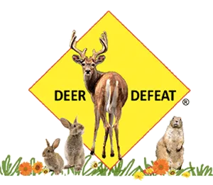 Deer Defeat