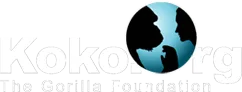 koko.org