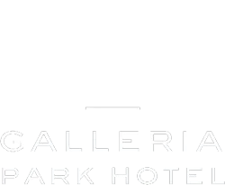 Galleria Park Hotel