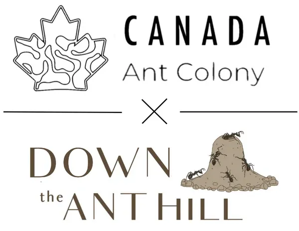 canada-ant-colony.com