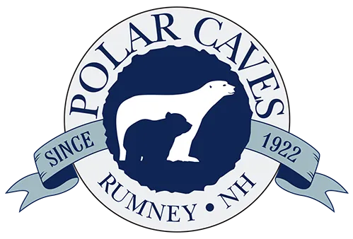 Polar Caves