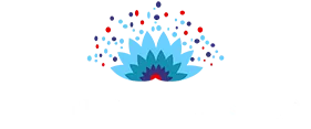 Vd Importers