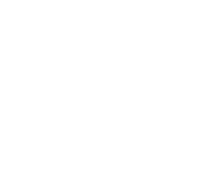 The Genuine Leather