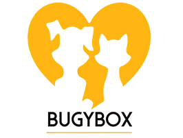 Bugybox