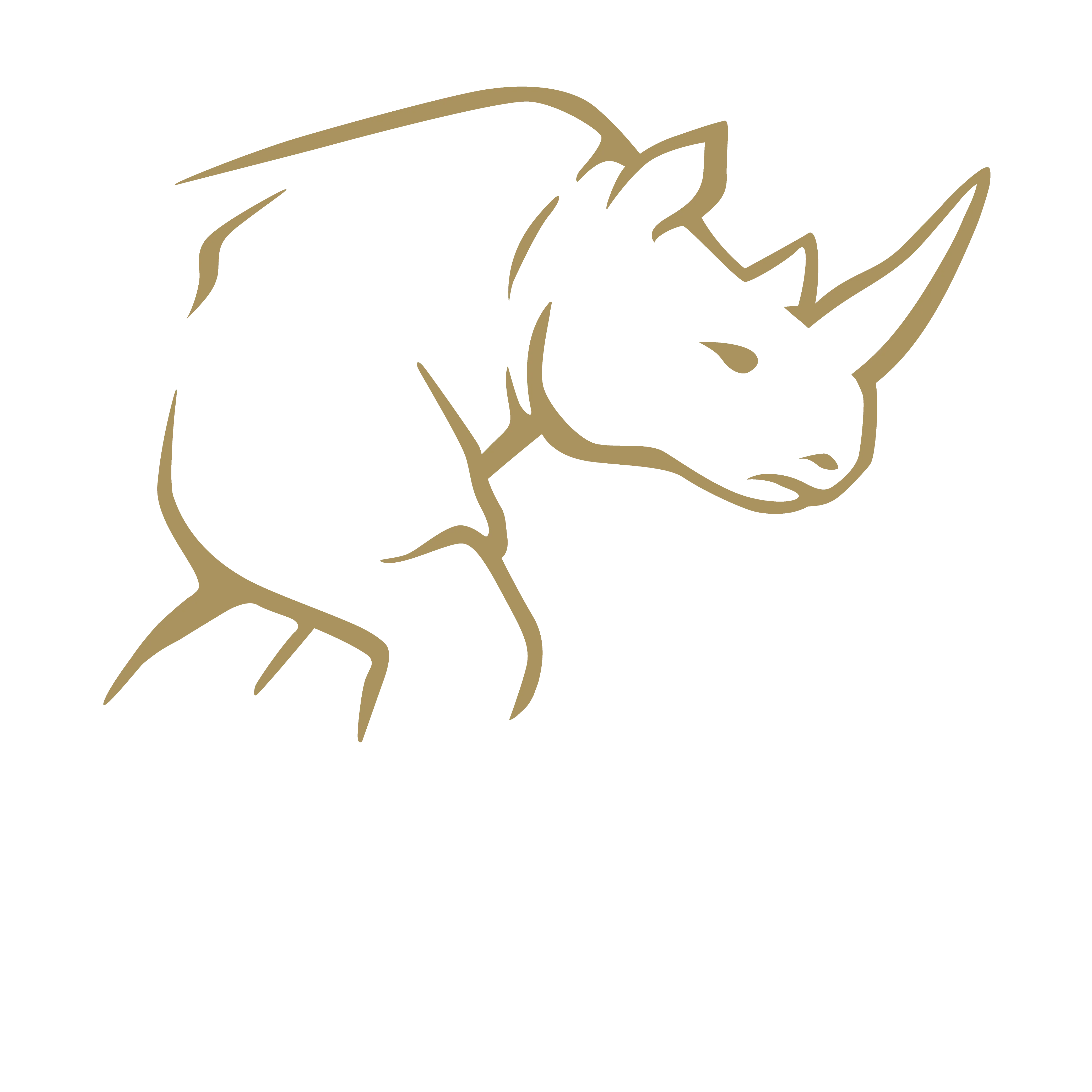 royalrhino.com.au