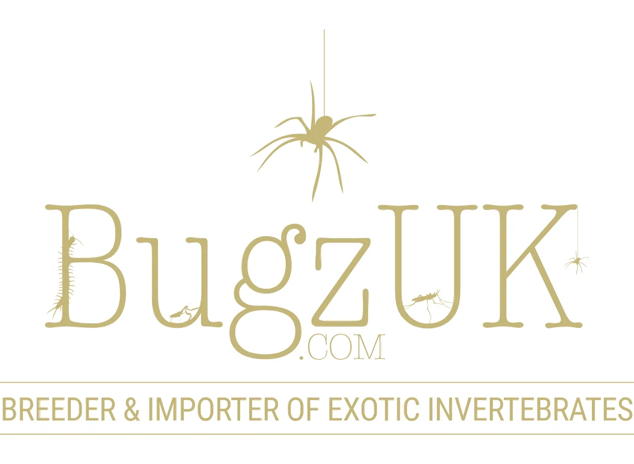 Bugzuk