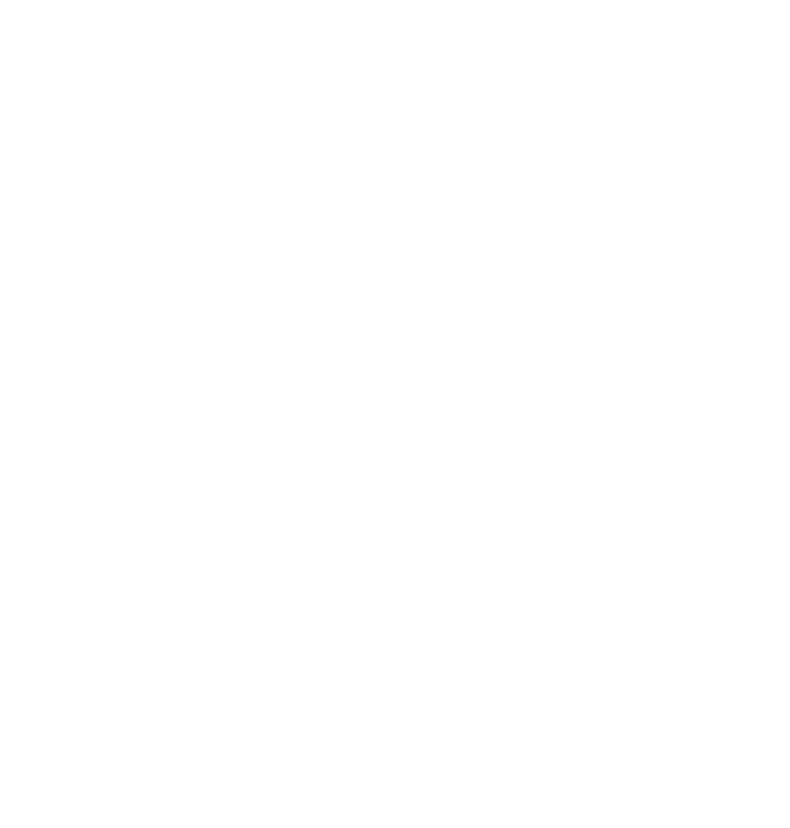 Galloping Guru