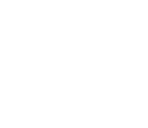 EEI Systems