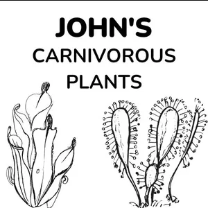 Johns Carnivorous Plants