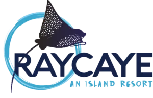 Ray Caye