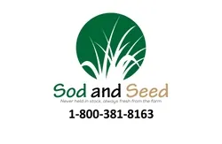 Sod and Seed