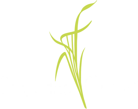 Sugaring Cane