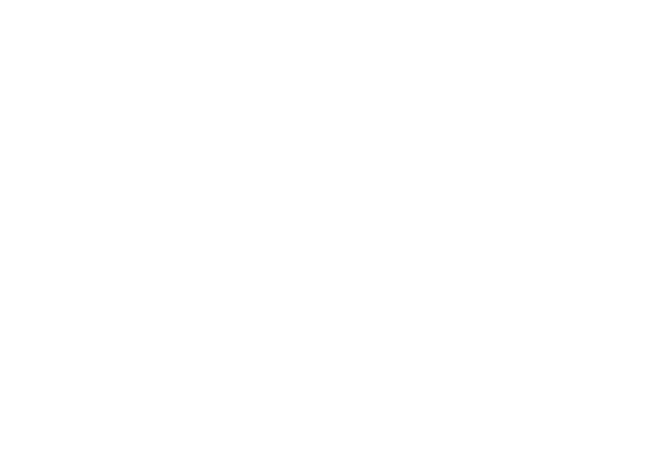 vH essentials