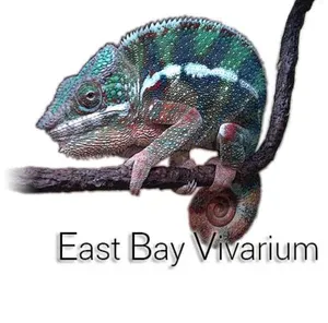 East Bay Vivarium