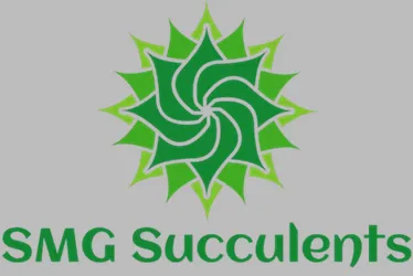 smgsucculents.com