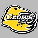 crowssports.com