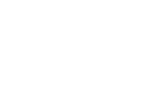 Chapman Honda