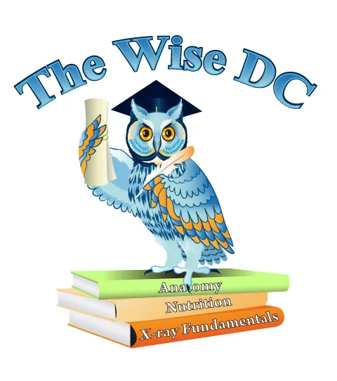 thewisedc.com