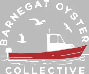 barnegatoyster.com