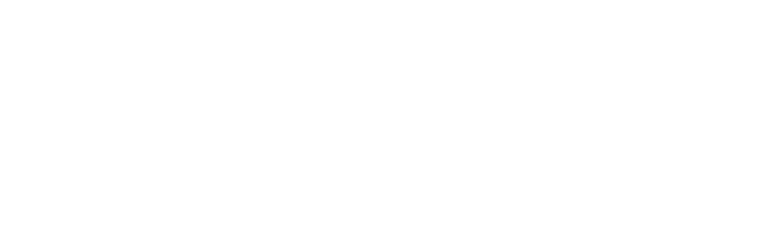 All Ball Pro