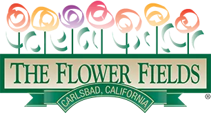 The Flower Fields