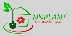 Nnplant