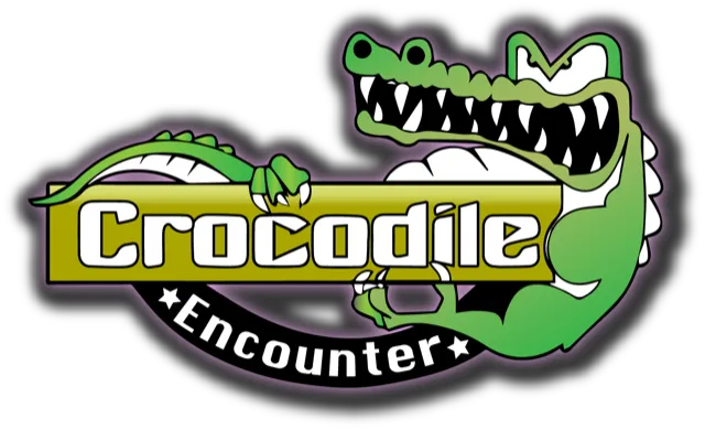 Crocodile Encounter