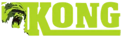 kongadventure.com