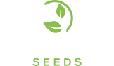 Plant World Seeds