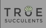 truesucculents.com