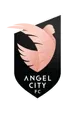 Angel City