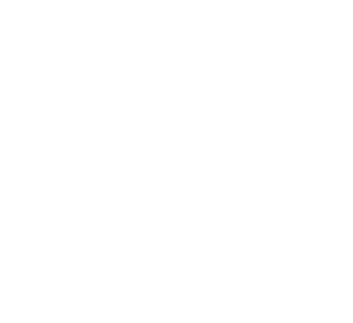 Arianne Elmy