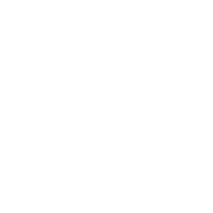 Houston Marathon