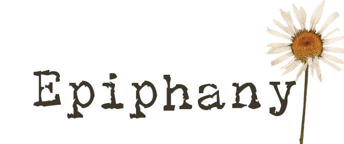 shopepiphanyapparel.ca