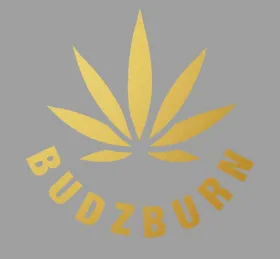 Budzburn